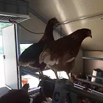 La Ferme De