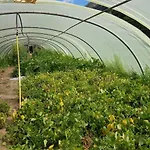 La Ferme De مكان تخييم كاستيلان