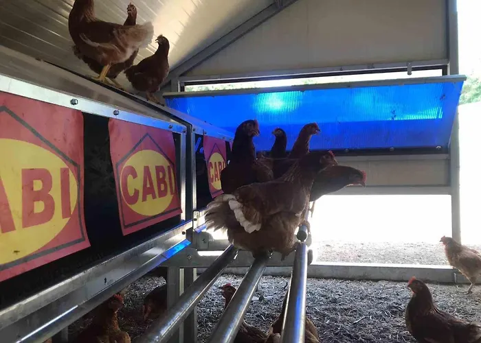 La Ferme De 3* Castellane