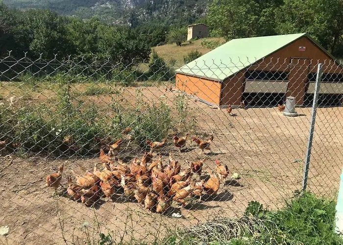 Parque de Campismo La Ferme De Castellane