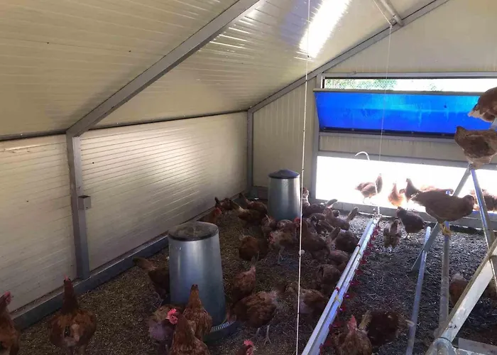 La Ferme De 3* Castellane