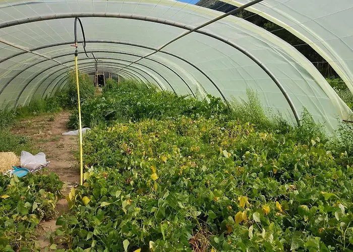La Ferme De Parque de Campismo Castellane